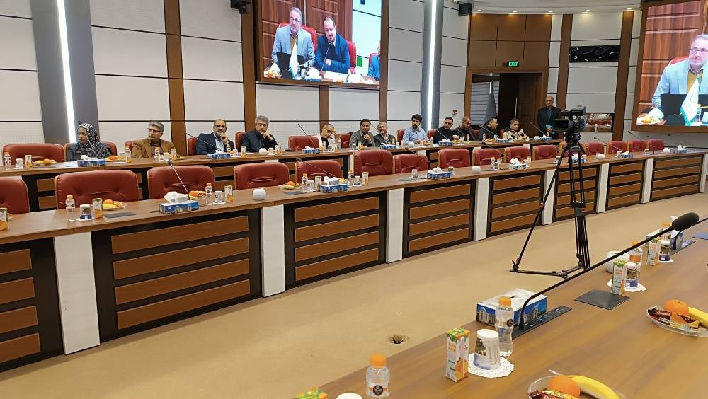 WhatsApp Image 2025-12-17 at 18.41.38 (1)