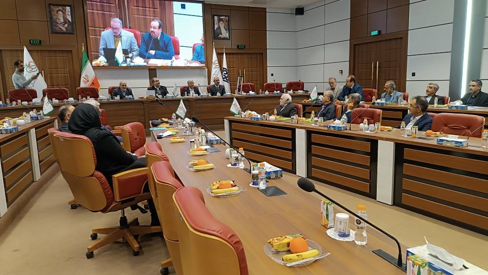 WhatsApp Image 2025-12-17 at 18.41.38